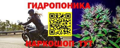 винт Аргун