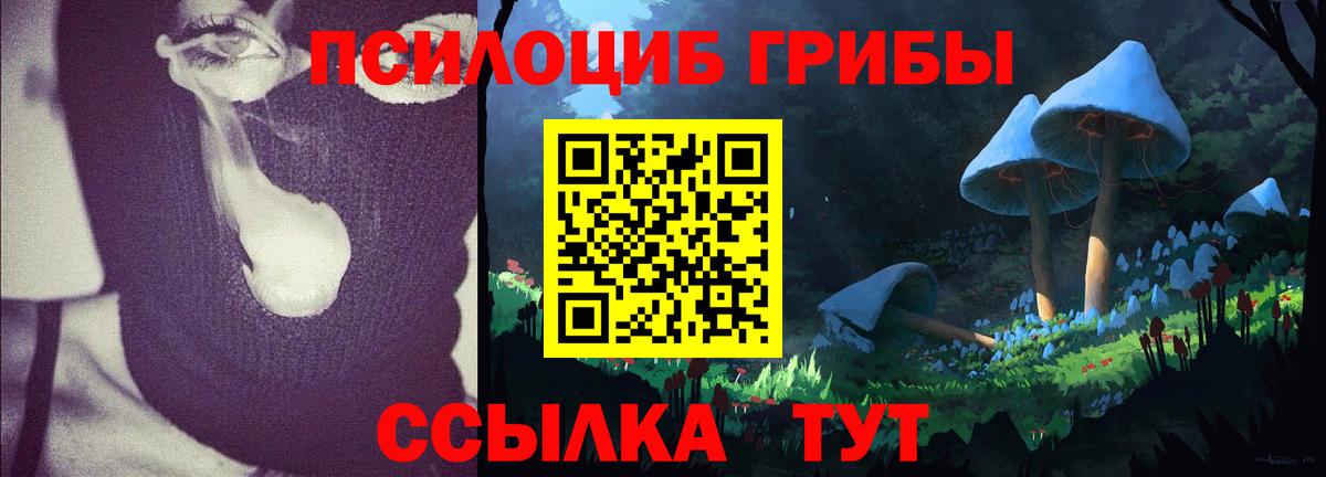 Галлюциногенные грибы ЛСД Владимир
